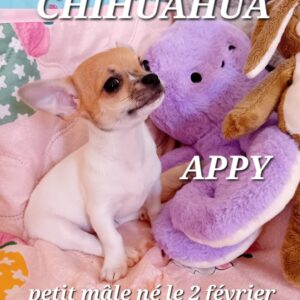APPY