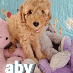 aby